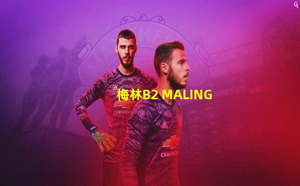 梅林B2 MALING